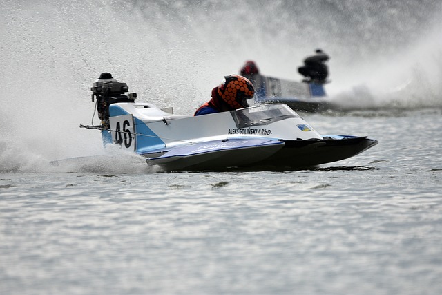 对新秀和老 对新秀和老