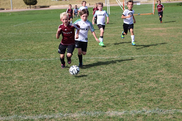 品牌效应 品牌效应