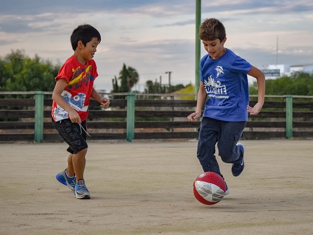 的回应与回 的回应与回