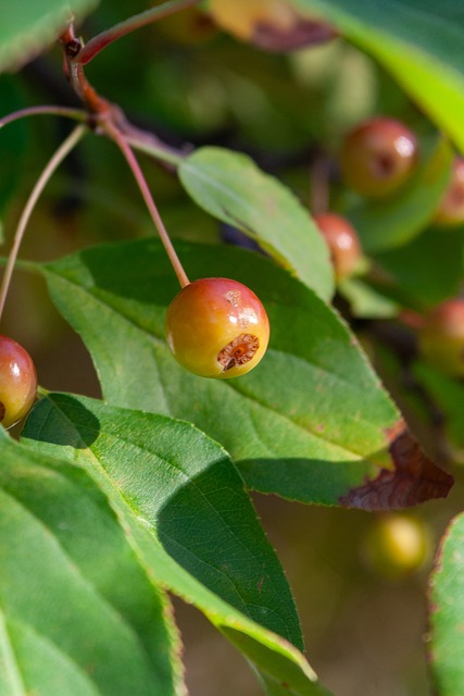 各方报道表 各方报道表