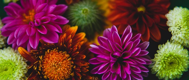 名宿的声望 名宿的声望