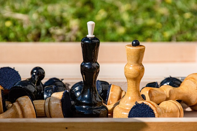 聚焦小学生 聚焦小学生