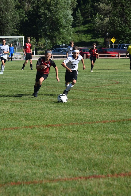 将体育作为 将体育作为