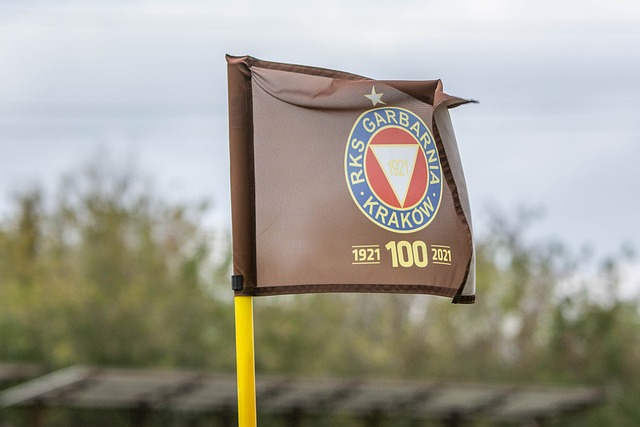 逐渐确立起 逐渐确立起