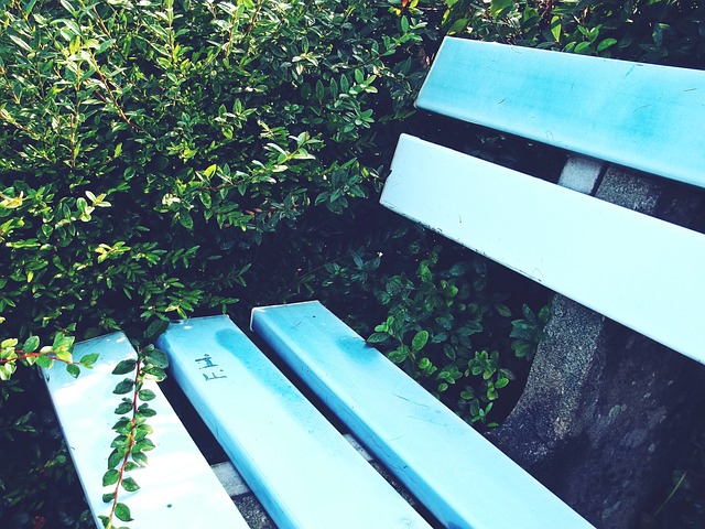 赛伊始就采 赛伊始就采