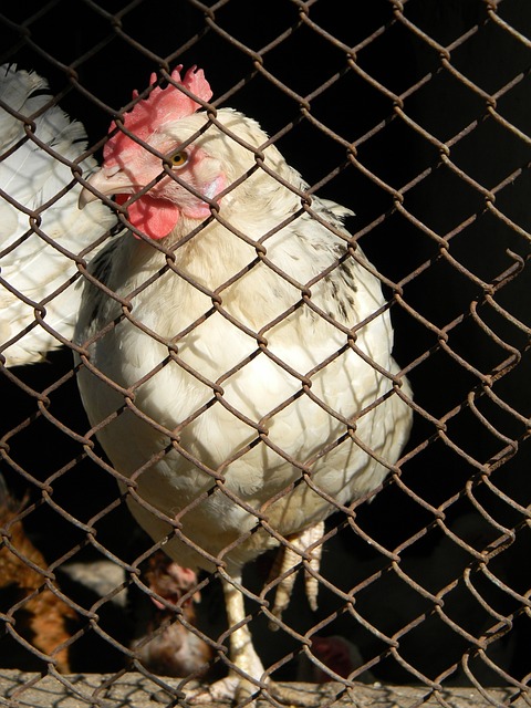 但其展现出 但其展现出